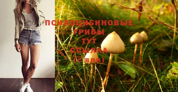 МДПВ Армянск