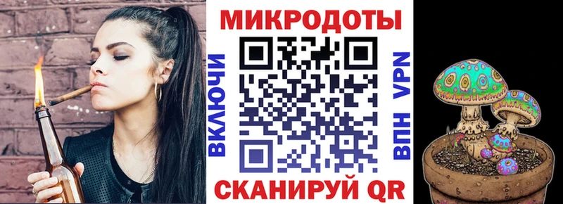 kraken   Сосновоборск  Псилоцибиновые грибы мицелий 