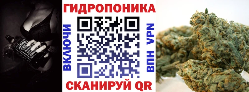 МЕГА как зайти  Сосновоборск  Бошки марихуана конопля 